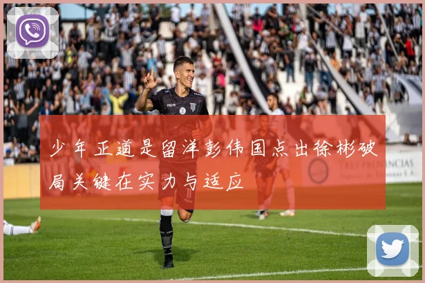 少年正道是留洋彭伟国点出徐彬破局关键在实力与适应