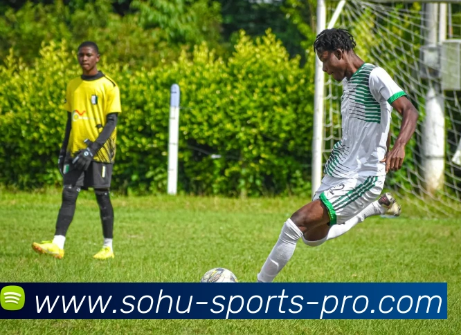 搜狐体育APP 封面图